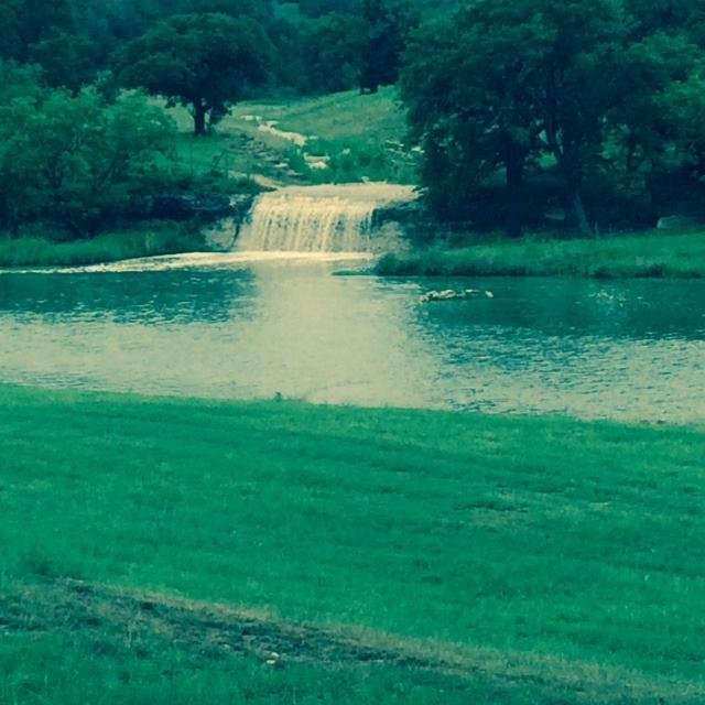 Remember CCR "Looking out my backdoor"? This is what I see when it rains.