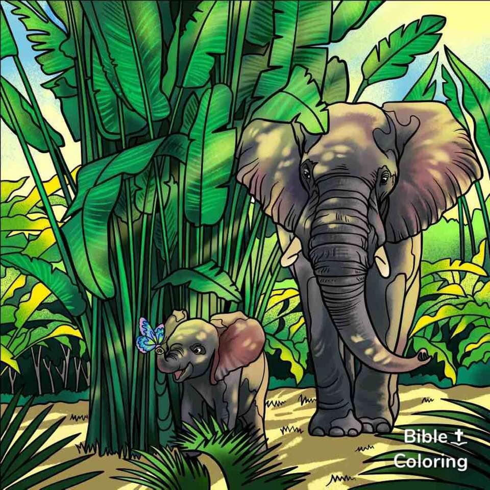 This is for my munchkins, Grandma misses them so much ❤️❤️❤️❤️❤️❤️❤️❤️❤️❤️❤️❤️❤️❤️❤️❤️❤️❤️❤️❤️❤️❤️❤️❤️❤️❤️❤️❤️❤️❤️