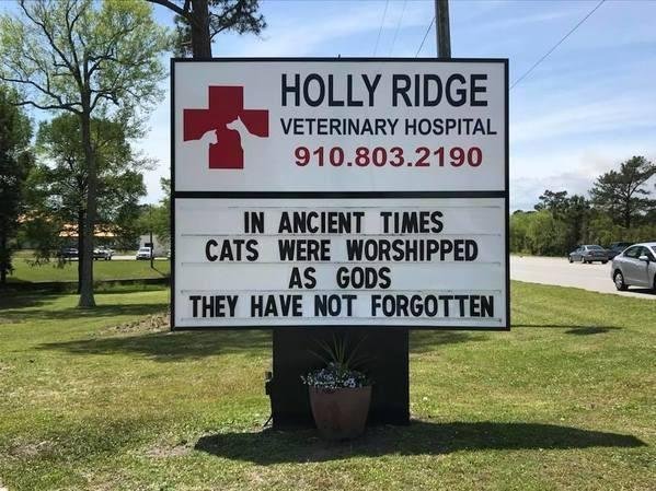 Kevin Vail's album, Timeline photos