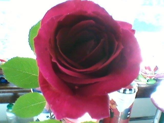 a rose by any other name is still a rose and smells so sweet