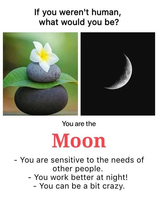 Hmm, well I am a "night owl" for sure. The word, "bit" does not sound too bad...although I may get that way if bullied, provoked or pushed too far.