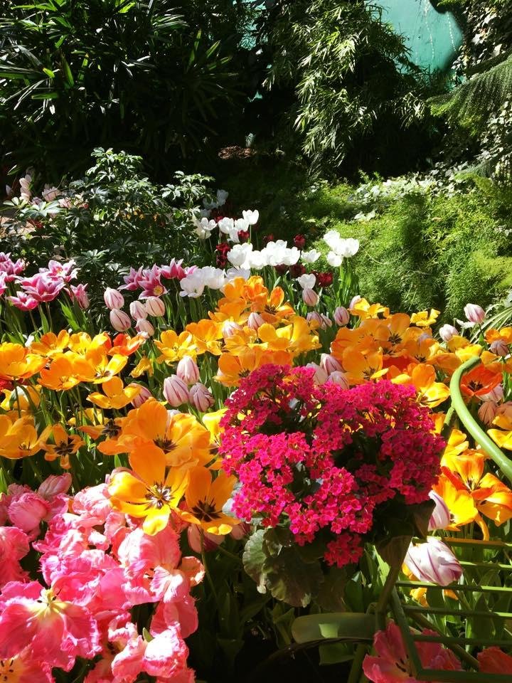 Barbara Fraser's album, Mobile Uploads