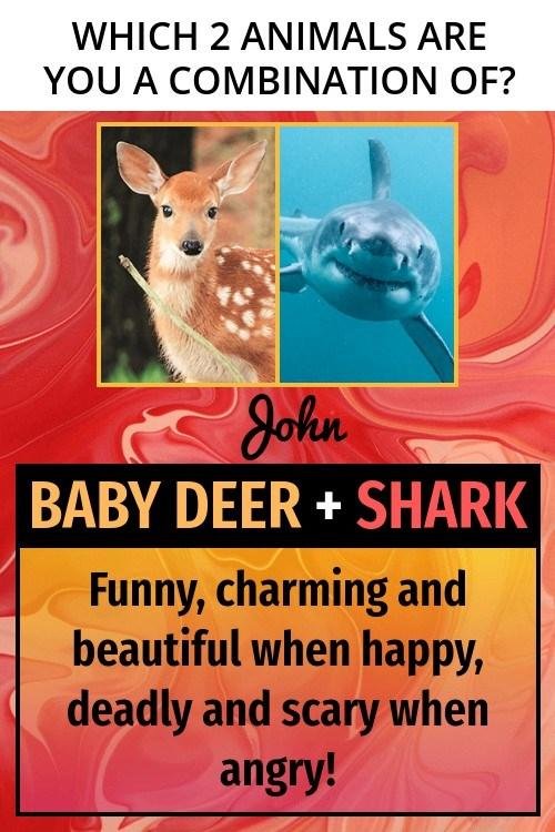 John Cook's album, Timeline Photos