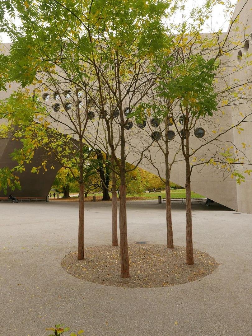Another view - more circles