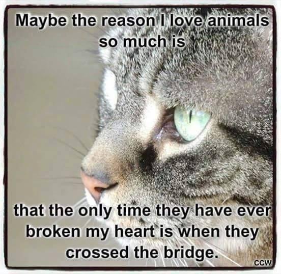 Michael Como's album, Timeline Photos