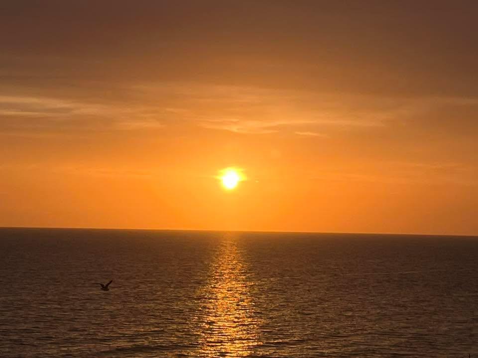 Michael Waters' album, Mobile uploads