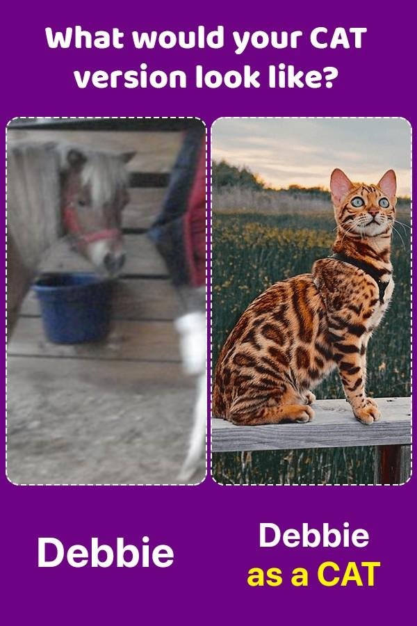 Debbie Rowland's album, Timeline photos