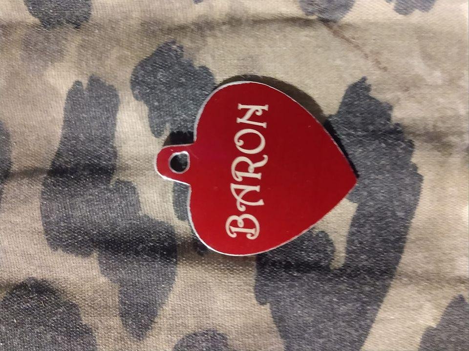 So Who's Tag Is This And Who's Doggy...