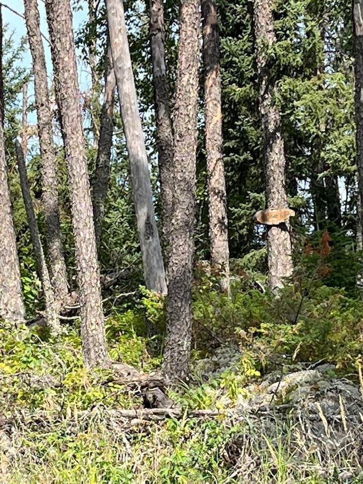 The sign says Help! 🤣
