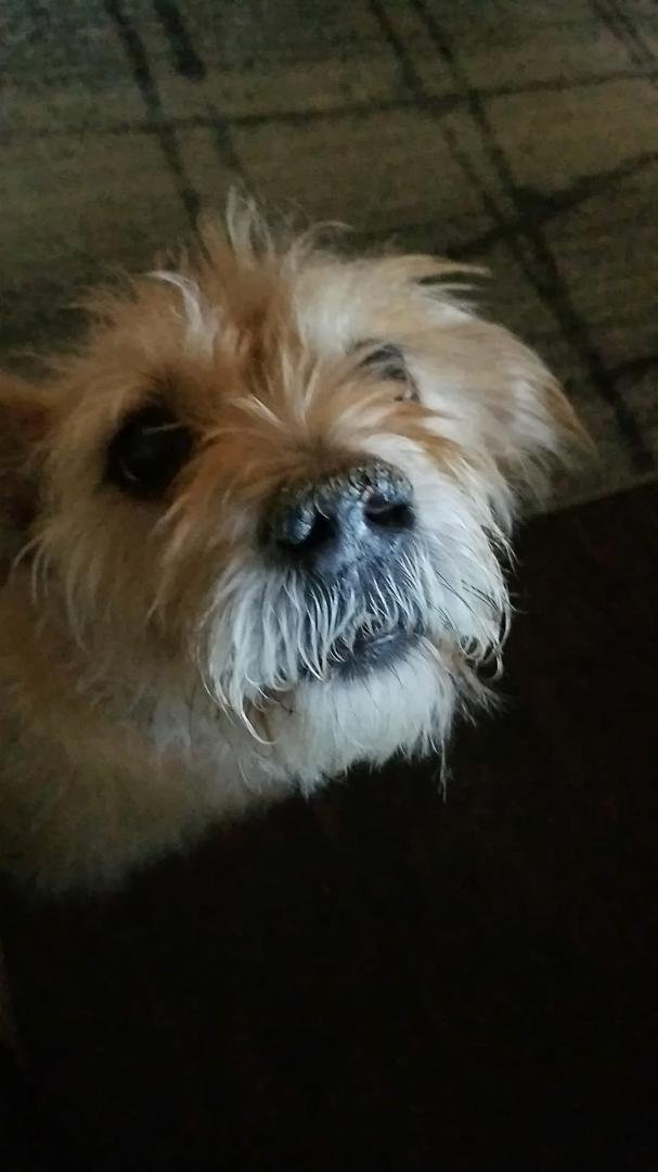 HAPPY 12TH BIRTHDAY HONEY DO!!!!