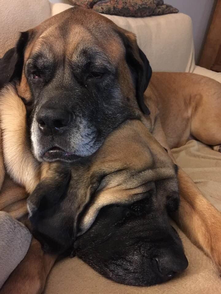 Just another Friday night at home on the couch.