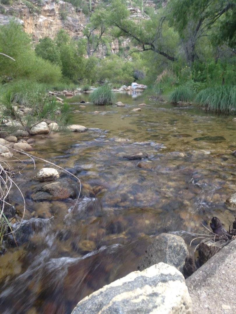 The water is running pretty good at Sabino!