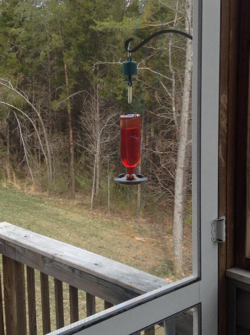 Hummingbird feeder is out and ready for business!
