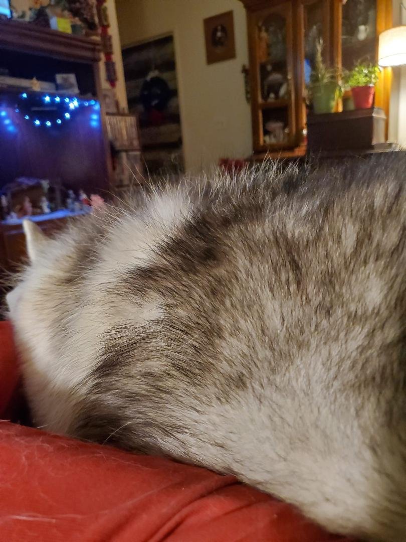 This chair is not big enough for both of us
