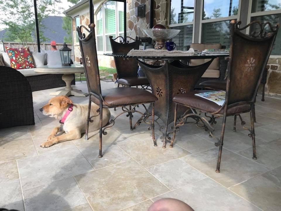 Callie & me sitting out on the patio under the ceiling fans as I drink my second cup of coffee before I head into the bathroom to get cleaned up for Church....Beautiful day here in Pinehurst this morning....Hope all the swe