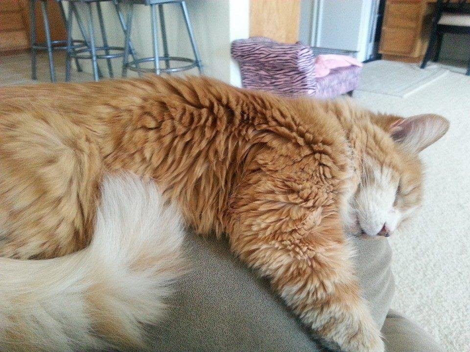 Happy 18th birthday to my little man