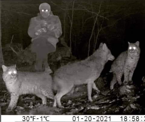 Lol