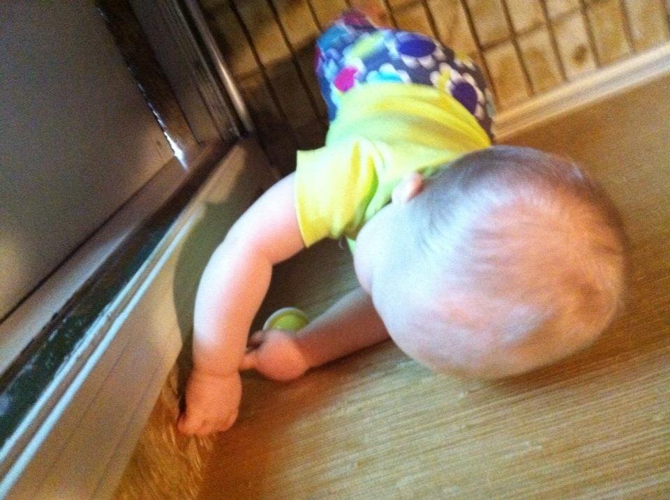 Carolina picking off wallpaper! What's with that family and my wallpaper?