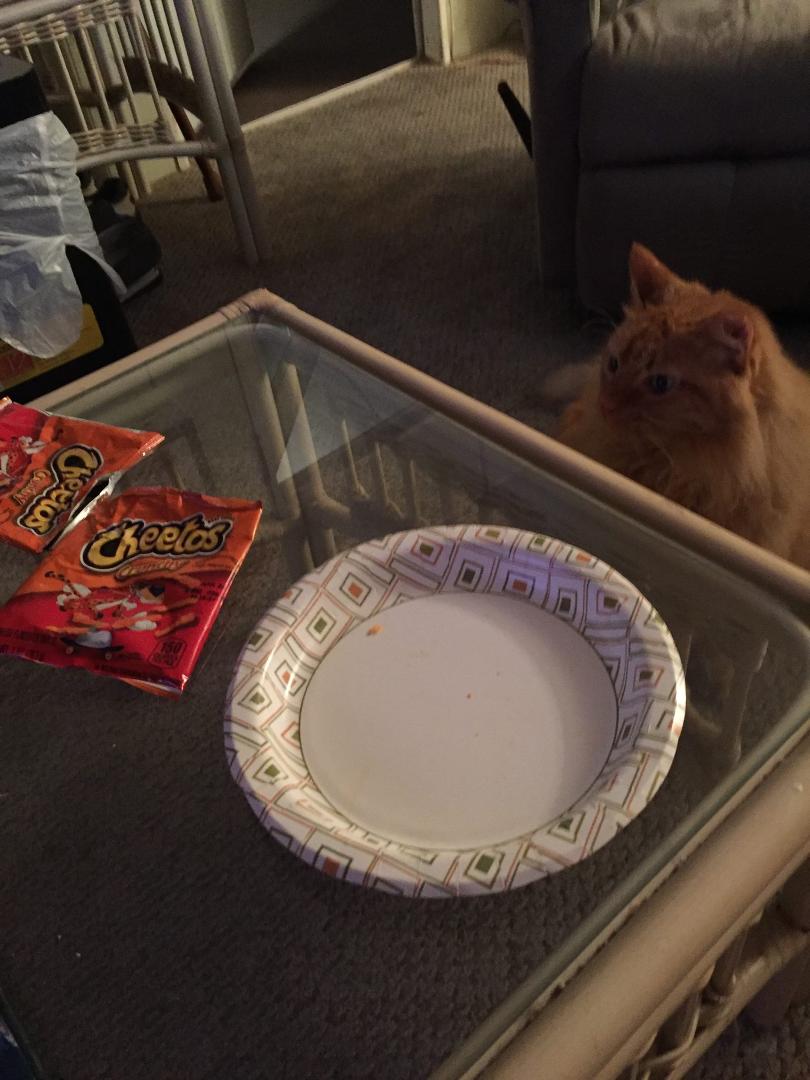 Guess who likes Cheetos?