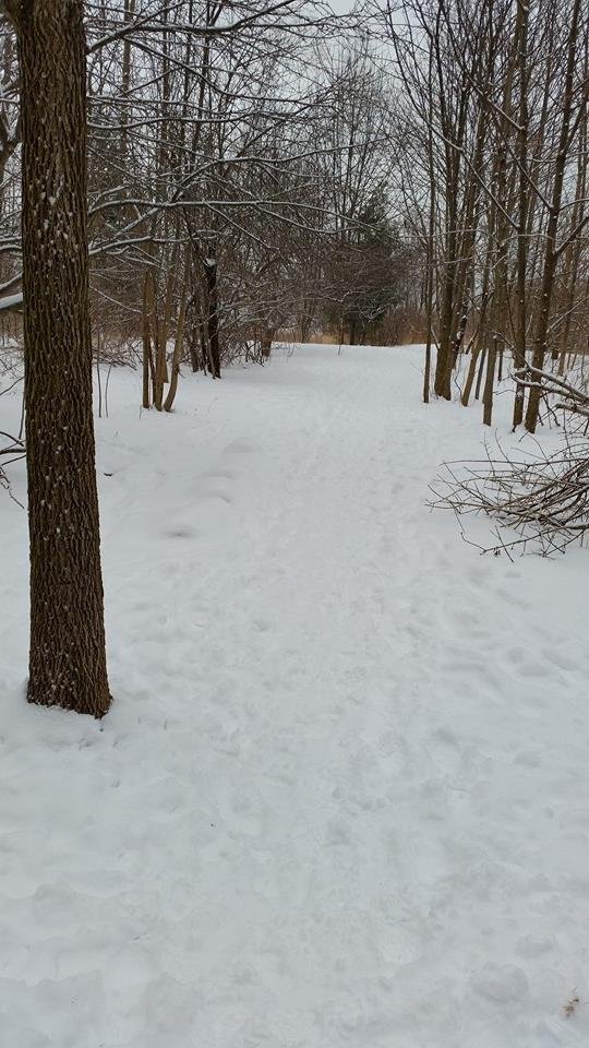 Great walking path.