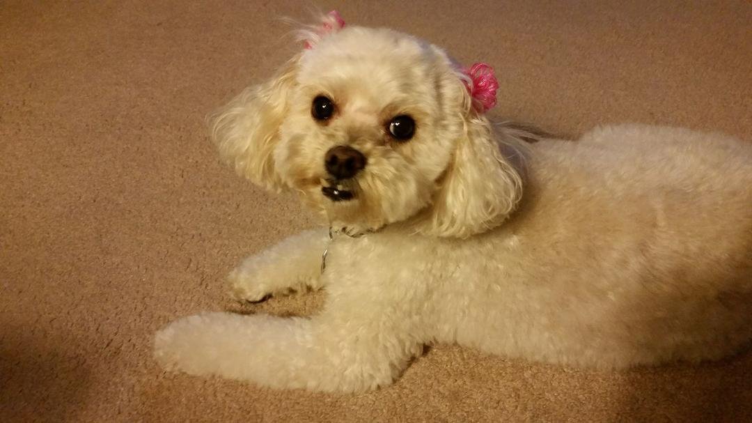 All packed and ready for her trip. I'm sure going to miss my little girl!