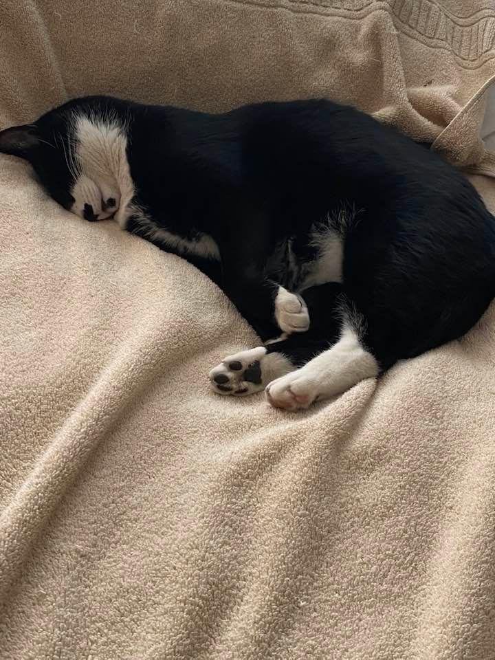 I need to squeeze him so badly !!! 💙💙💙