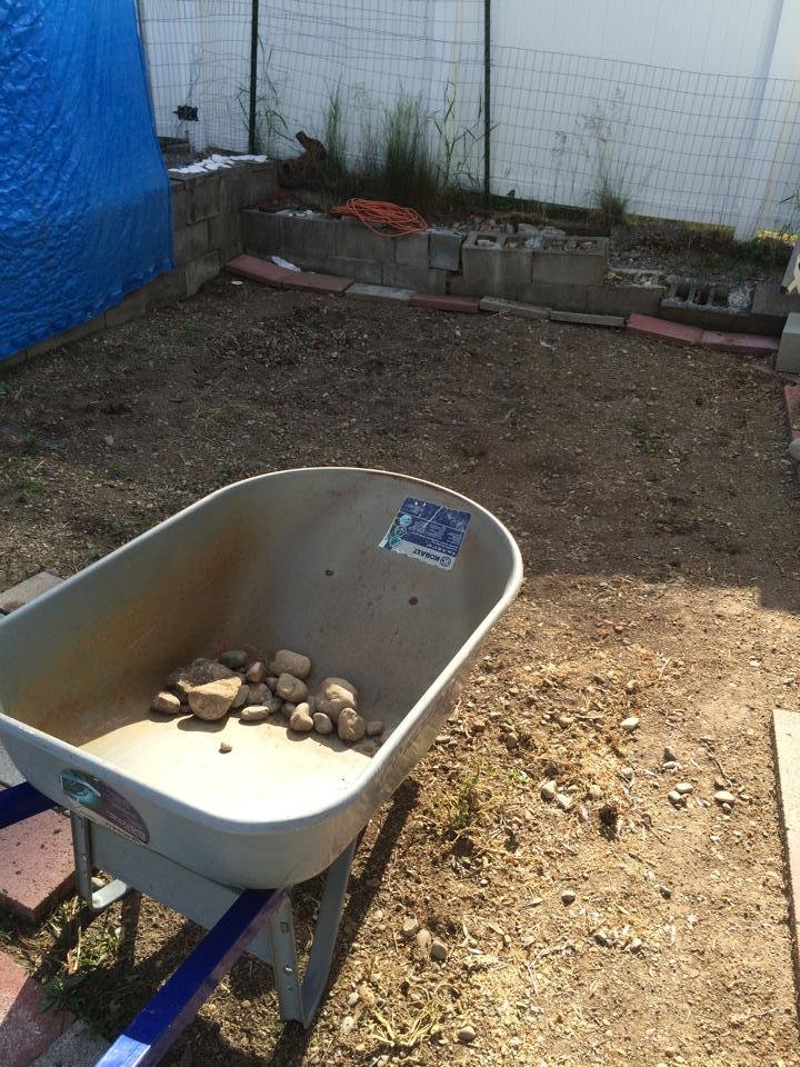 Next project fixing this area for a 10'x30" quick set pool for the grandson. Hoping to finish clearing and leveling for set up within two weeks. Now if I didn't have to be responsible and actually go to work, I would have i