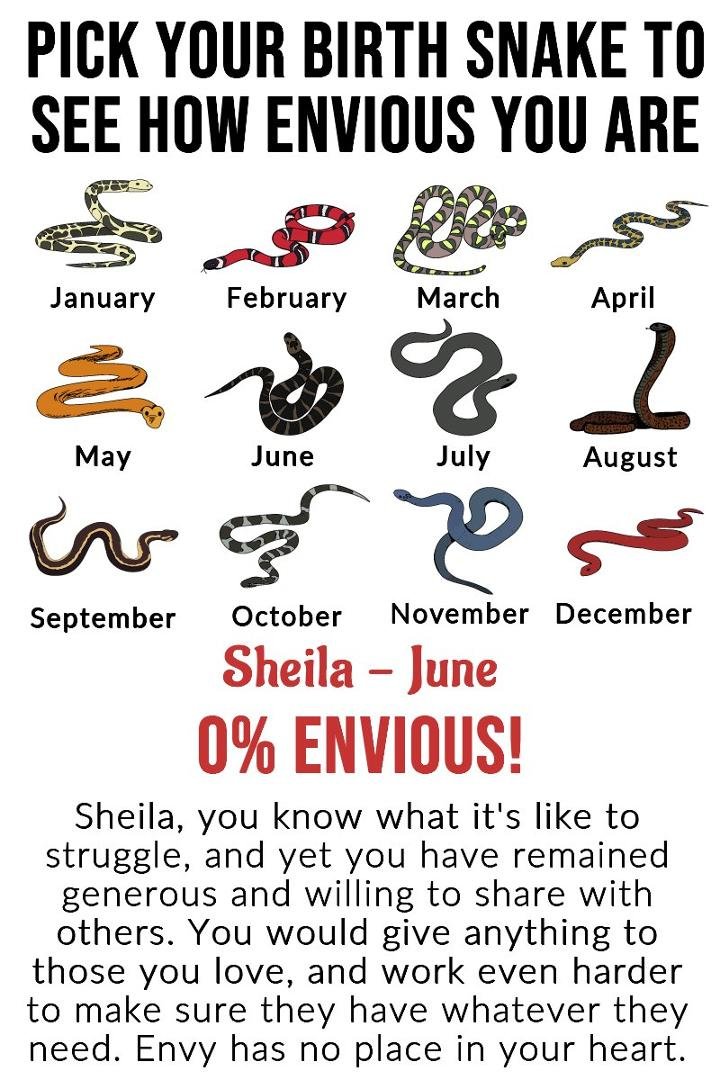 Sheila North's album, Timeline Photos