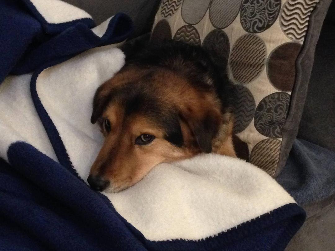 It's even too cold for Gilmour this morning.