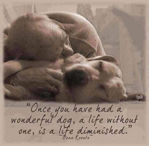 Robert Smentkowski's album, Timeline Photos