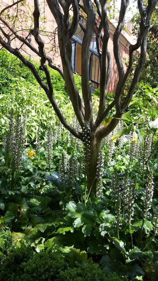 Sandy Samuel's album, Timeline photos
