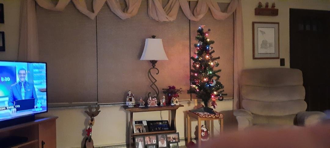 Got my Charlie Brown tree up today