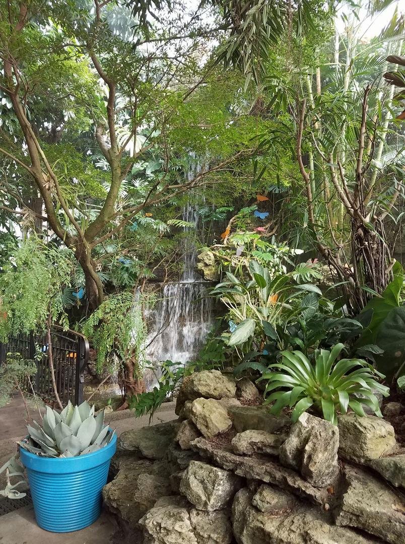 At Krohn Conservatory in Cincinnati.
