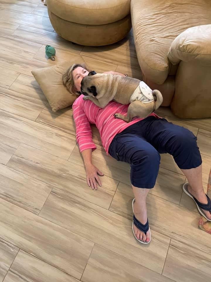 I tripped over Buddy’s gate yesterday afternoon. I hit the floor really hard and broke my arm. This little guy would not leave me until the paramedics got there. ❤️ Prayers appreciated. Its pretty painful