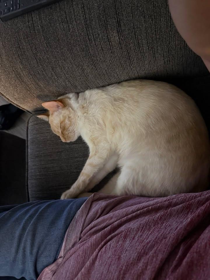 Hard day