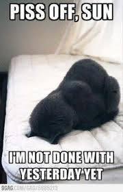 Yep, that's me and mornings :D