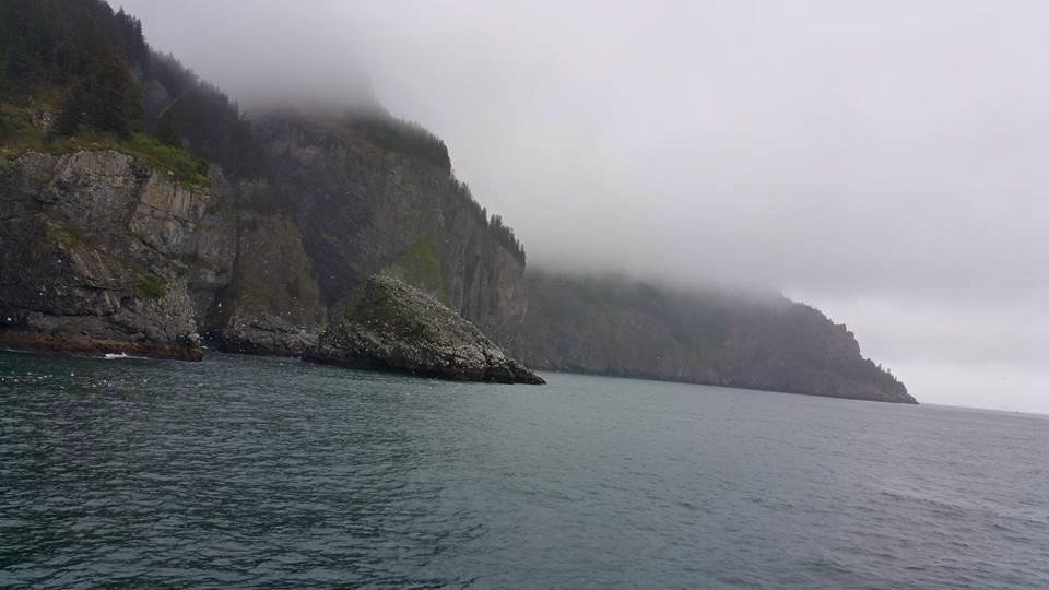 Cruise Kenai Fjords National Park Resurrection Bay was fun... saw Humpback Whale, Mt goat, Porpoise, Otter, Puffin, Sea Lions and etc... It rained hard and got soaking wet.  Fun day!  Fishing tomorrow...:)