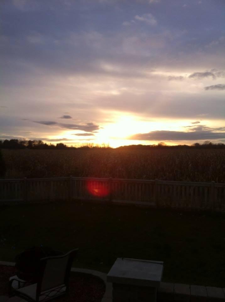 Sunset over the corn field