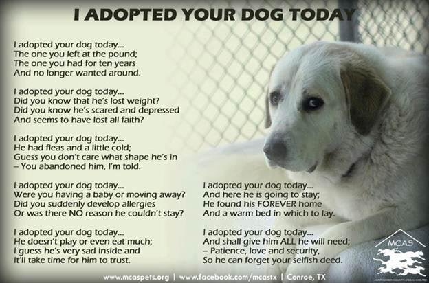 Michael Harder's album, Timeline Photos