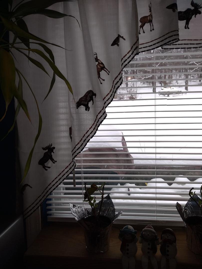 Curtains for the kitchen, valences too.Love Altmeyers