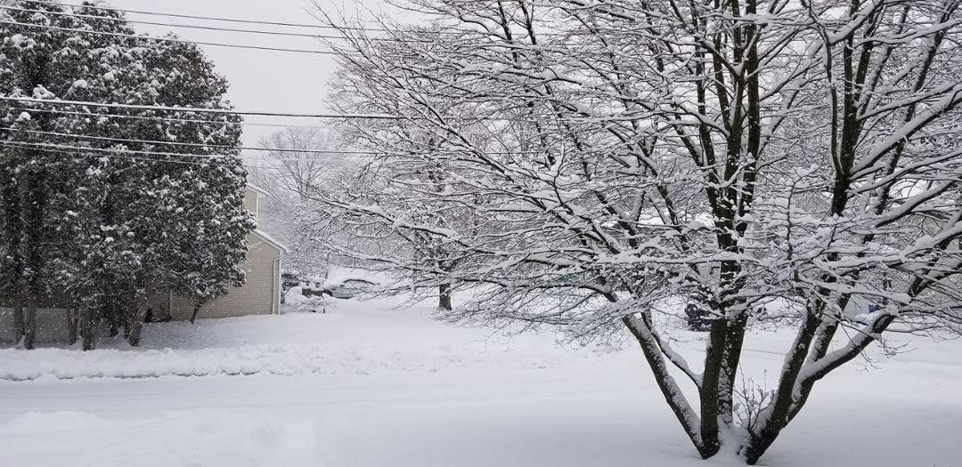 Super Bowl Snowy Sunday!