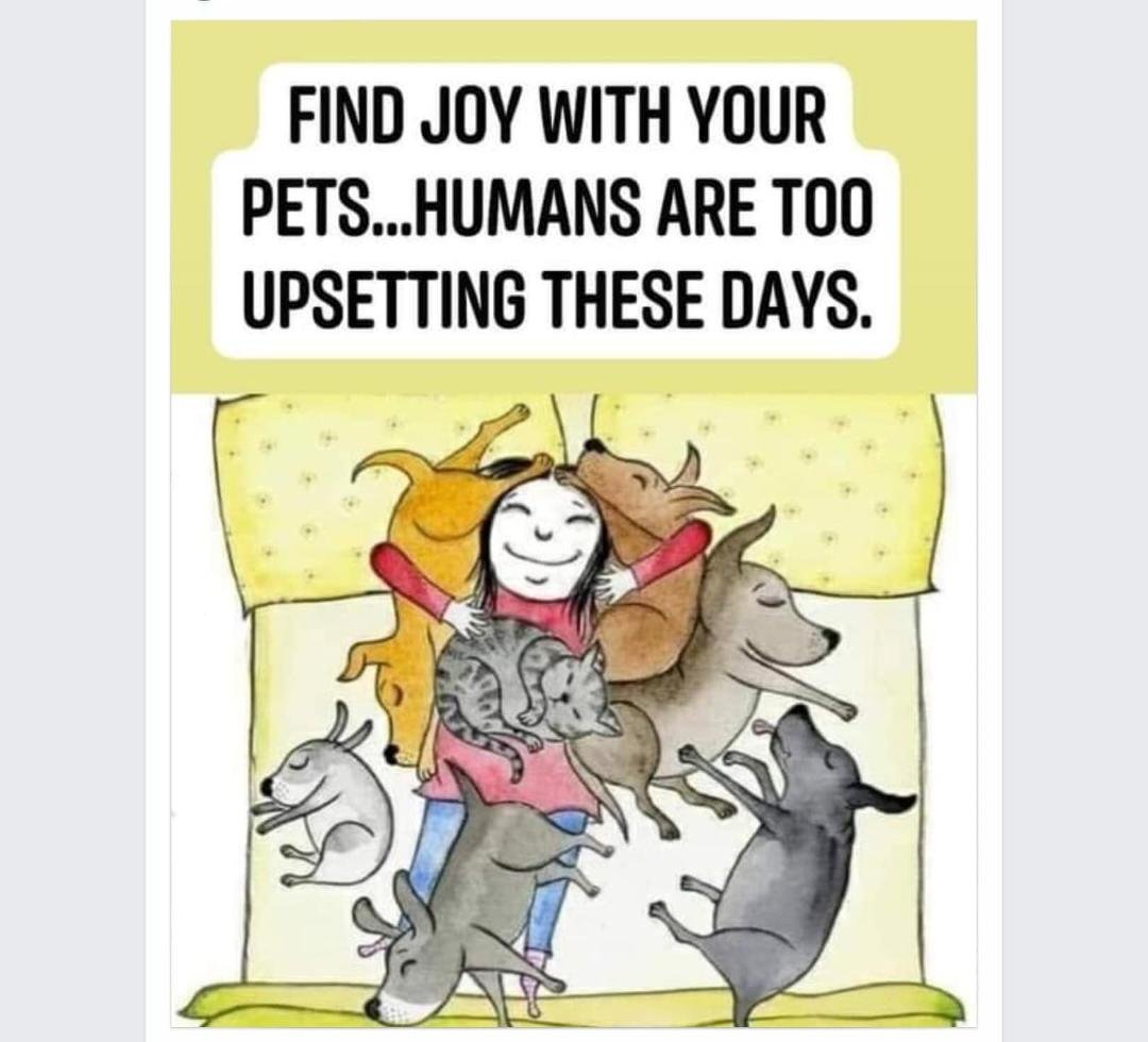 Cindy Smith's album, Mobile uploads