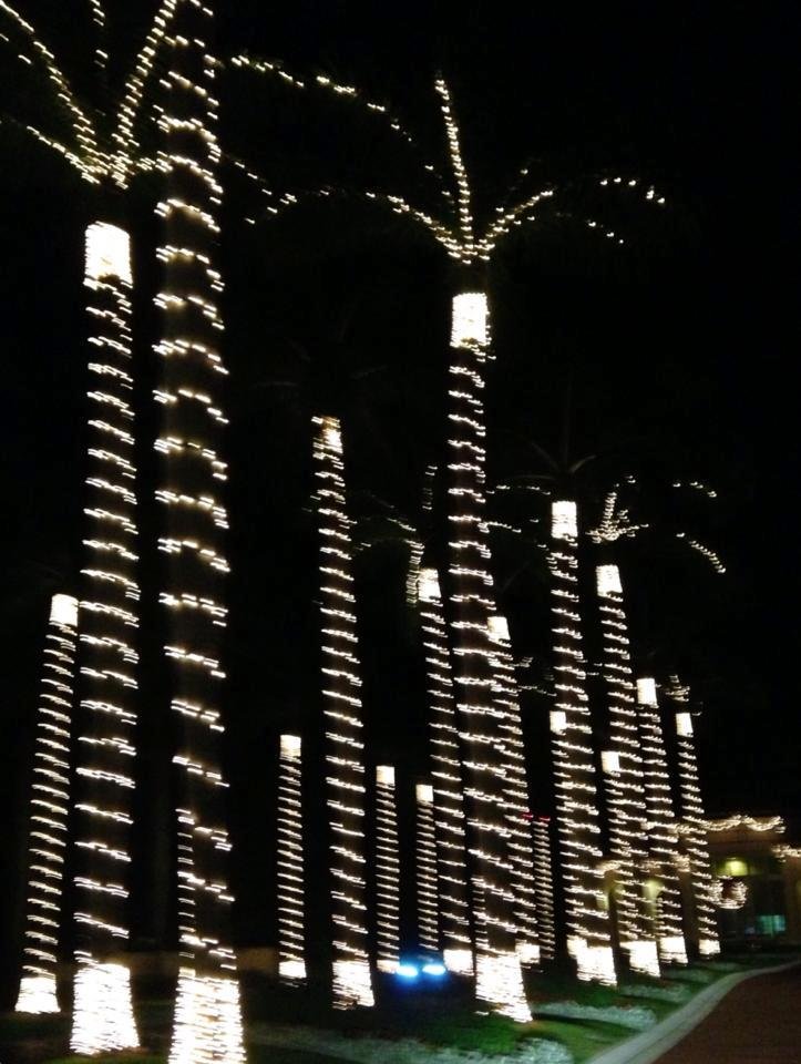 Merry Xmas from Naples, FL