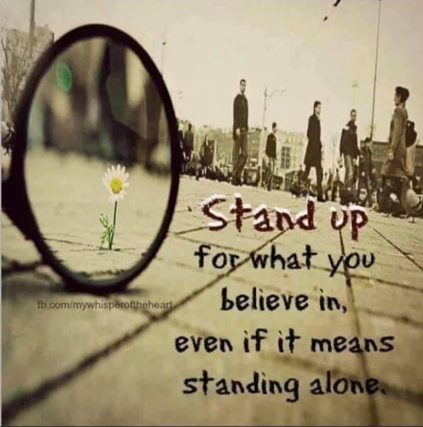 Steve Millhollen's album, Timeline photos