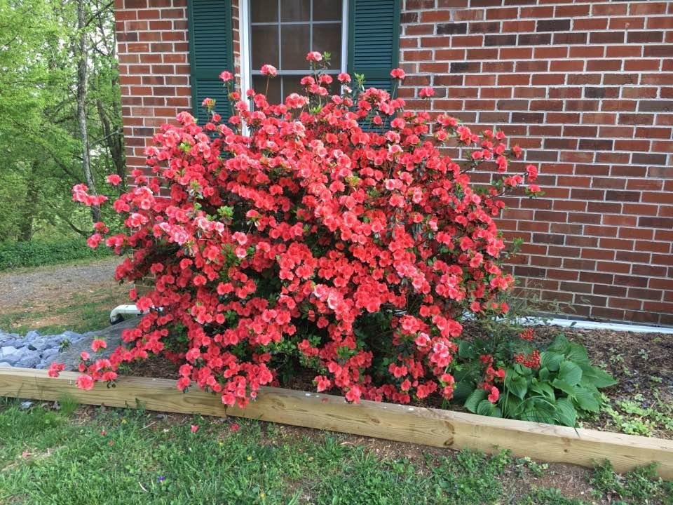 William Andrews' album, Timeline Photos