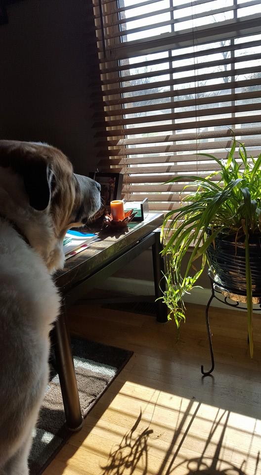 I think he's wondering where's the snow...keg time!