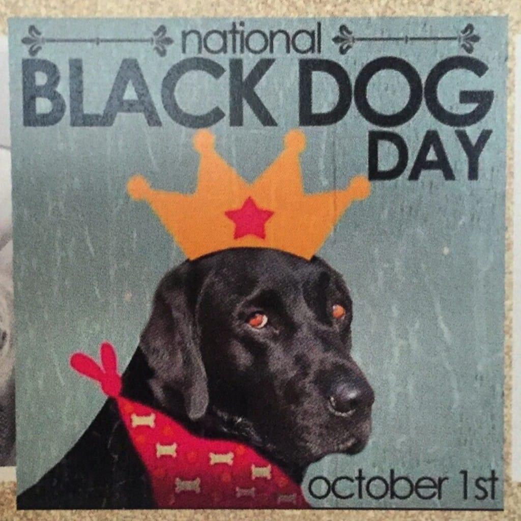 An extremely important day not to be overlooked♡