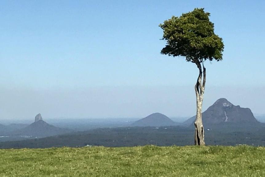 Is there anyone that can help me edit this photo? Or know of an free app to make this possible?? I would like the background to be black and white and the tree to be in color. Any help would be greatly appreciated!!!