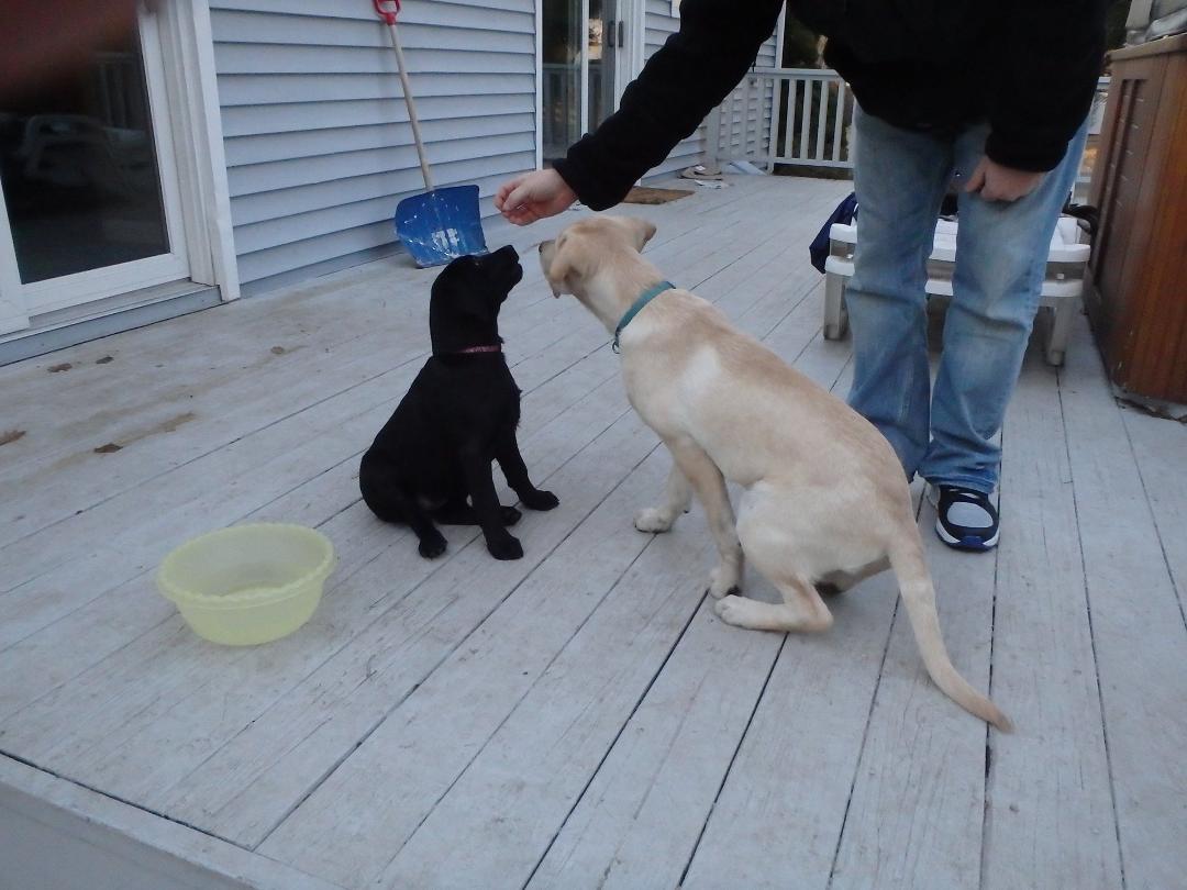 play date with cousin TUCKER
