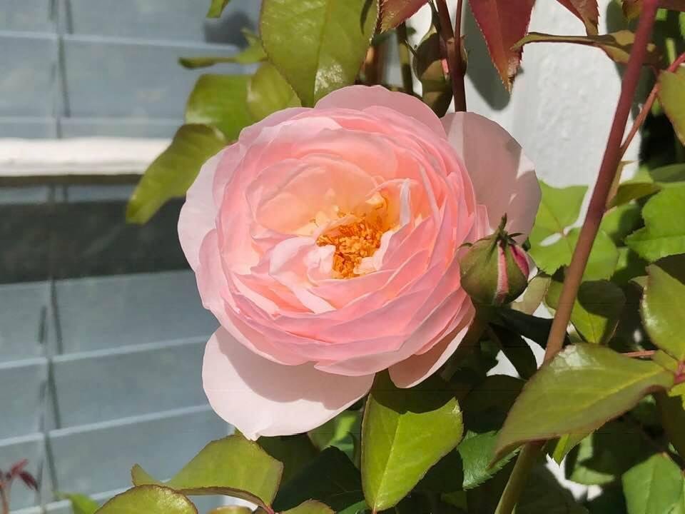 Tim Henderson's album, Timeline Photos
